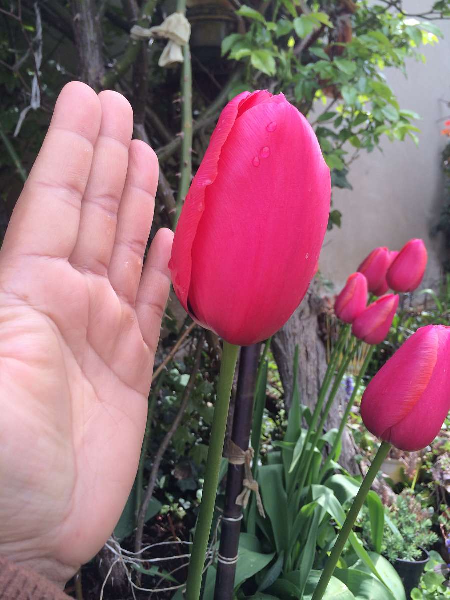 2014-04-20 11-47-23.JPG